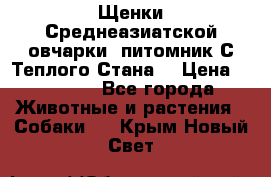 Щенки Среднеазиатской овчарки (питомник С Теплого Стана) › Цена ­ 20 000 - Все города Животные и растения » Собаки   . Крым,Новый Свет